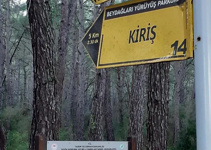 Szálloda Havana Kemer